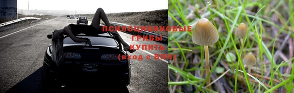 марихуана Нефтекумск